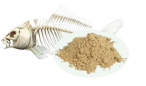 Fish-bone-powder-with-fish Fish-bone-powder-with-fish