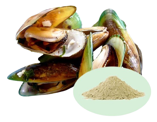 Mussel-Combination_2-removebg-preview Mussel-Combination_2-removebg-preview